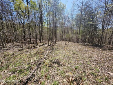 170 Bluff View Rd, New Tazewell, TN 37825 - photo 4