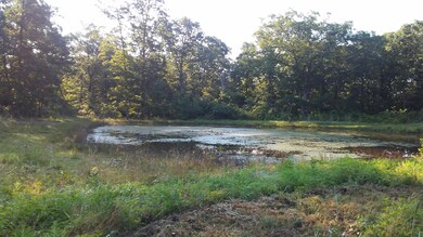Pond