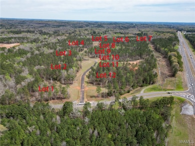 Lot 2 Pine Cir, Coker, AL 35452 - photo 2
