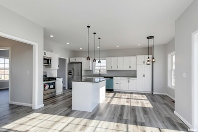 1207 W 63rd St, Davenport, IA 52806 - photo 7