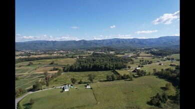 1320 Corby Bridge Rd, Chuckey, TN 37641 - photo 6