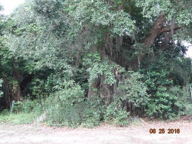 DSC03396