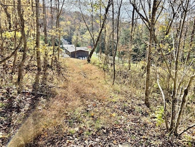 7932 Hurricane Creek Rd, Winfield, WV 25213 - photo 5