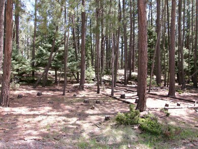 Lot 454 Maxwell Way, Angel Fire, NM 87710 - photo 4