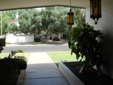LOOKING OUT ON YOUR STREET