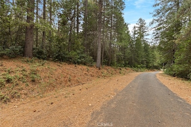 1 Old Forbestown Rd, Forbestown, CA 95941 - photo 3