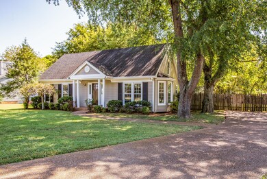 Large mature trees on beautiful level lot