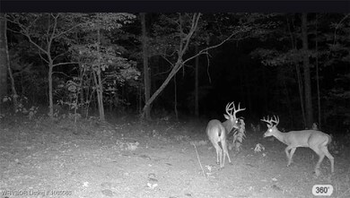 / Mickels Switch Rd, Danville, AR 72833 - photo 5