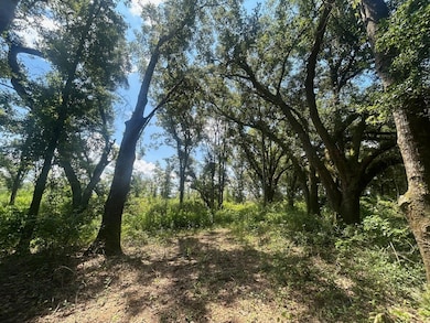 0 Creel Rd unit 23619140, Theodore, AL 36582 - photo 2