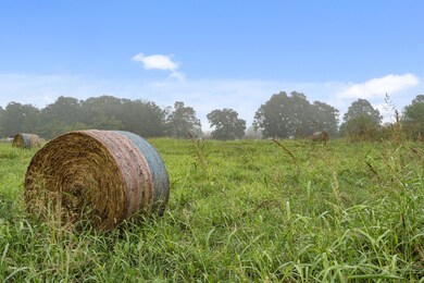 6-web-or-mls-DSC07912