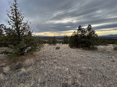 3021 SE Indian Ln, Juniper Canyon, OR 97754 - photo 4