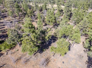 DJI_0034-1