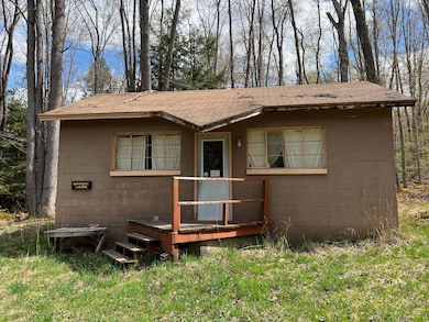 6 Bordell Rd, Smethport, PA 16749 - photo 3