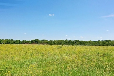 Tbd Raven Rd, Clarksville, IA 50619 - photo 7