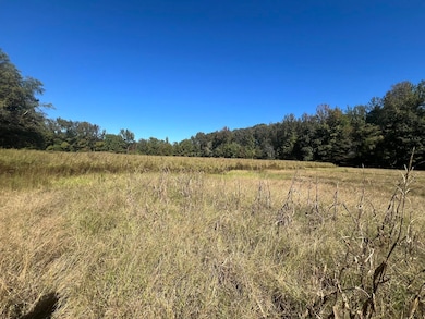 0 Walls Rd, Somerville, TN 38068 - photo 6