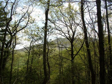 TBD Beech Grove Rd unit 644, Roseland, VA 22967 - photo 7