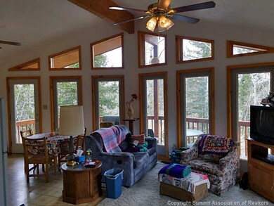 38 Grebe Ln, Como, CO 80432 - photo 3