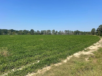 2 Childs Rd, Troy, AL 36081 - photo 4