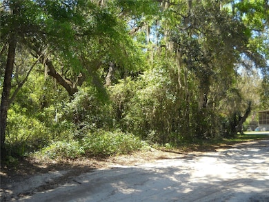 00 NE 167th Place, Citra, FL 32113 - photo 3