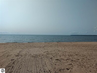 4106 E Michigan Ave, Au Gres, MI 48703 - photo 4