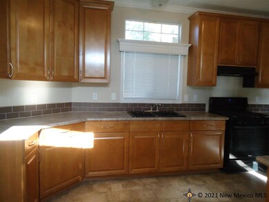 4403 S Spencer St, Carlsbad, NM 88220 - photo 6