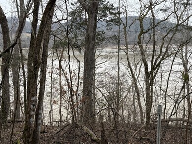 0 Cook Ln unit RTC3054661, Gainesboro, TN 38562 - photo 4