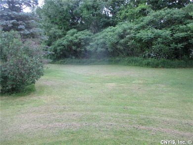 Backyard.