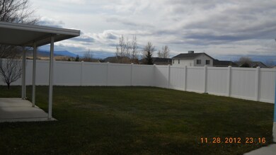 Fenced Back Yard