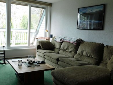 14 Emerson Way unit D-3, Waterville Valley, NH 03215 - photo 7