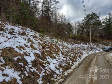 lot 17 Merrell Rd unit 17, Leicester, NC 28748 - photo 6