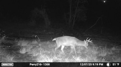 -- US Highway 98, Beaumont, MS 39423 - photo 5