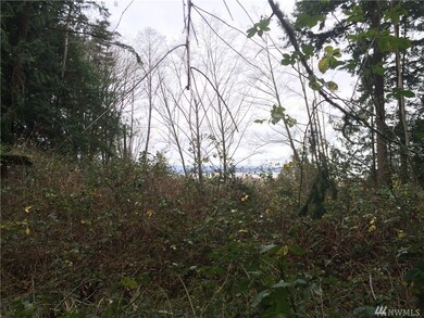 0 W Lake Ketchum Rd unit 879603, Stanwood, WA 98292 - photo 2