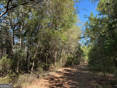 0011GH Wallace Buie Rd, Webb, AL 36376 - photo 3