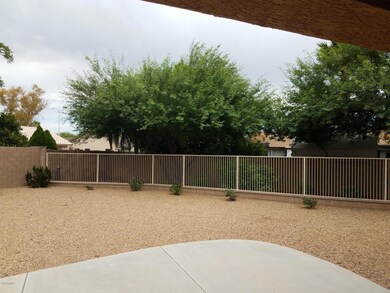 View from patio