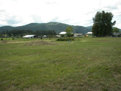 garden area.