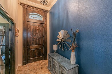 148 Spring Meadow Dr, Springtown, TX 76082 - photo 3