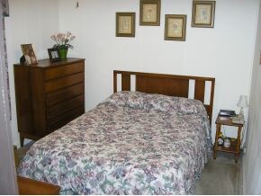 116 Fire Hall Rd, Fall Branch, TN 37656 - photo 6