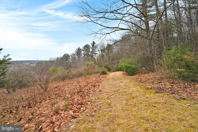0 Beech Hollow Rd unit PASK2009194, Schuylkill County, PA 17960 - photo 6