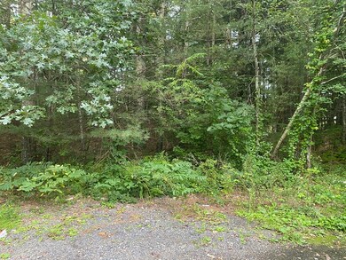 148 Webster St, East Douglas, MA 01516 - photo 2