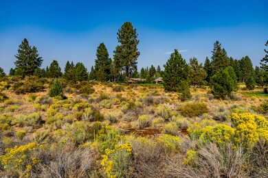 61594 Hosmer Lake (LOT)-13