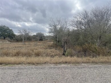 TBD Windy Ridge Loop, Mathis, TX 78368 - photo 2