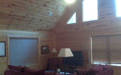 Additional View