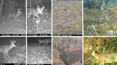 N8510 Fish Rd, New Lisbon, WI 53950 - photo 2