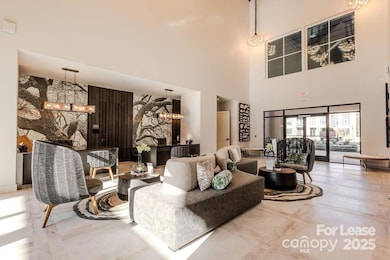 3110 Doe River Way unit Chadwick, Matthews, NC 28105 - photo 4