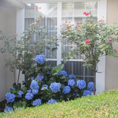 Landscaping Includes Flowers