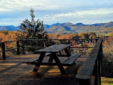 1330 W Lowery Ln, Franklin, NC 28734 - photo 6