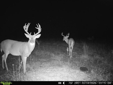 7 SE Lenapah St, Skiatook, OK 74070 - photo 7