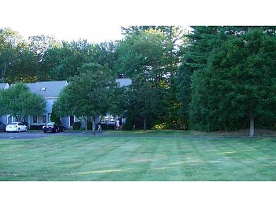Yard/Garden.