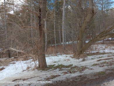 7228 W Beard Rd, Perry, MI 48872 - photo 2