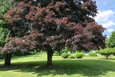 459 Boxberry Hill Rd, East Falmouth, MA 02536 - photo 4